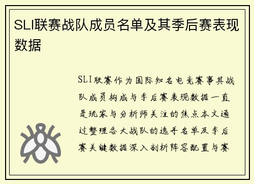SLI联赛战队成员名单及其季后赛表现数据
