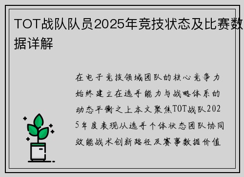 TOT战队队员2025年竞技状态及比赛数据详解